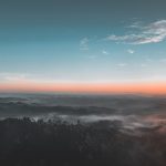 bird-s-eye-view-photography-of-green-forest-1208379