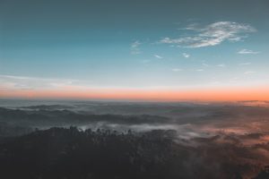 bird-s-eye-view-photography-of-green-forest-1208379