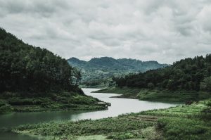 green-grass-field-and-mountain-1034887